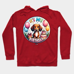 It's My Birthday Doxie Puppy Hoodie